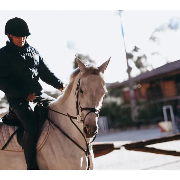 Ready to ride